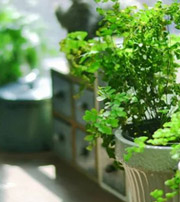 文昌专属于你的开运指南，助你鸿运当头福满身！